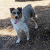 MoJo (Ritzy)