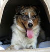 MoJo (Ritzy)