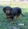 Sara (Ritzy)