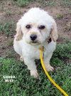 Sierra Mist (Ritzy)