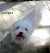 Wendy Bear (Ritzy)