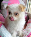 Sparkle (Ritzy)