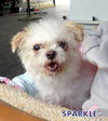 Sparkle (Ritzy)