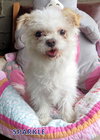Sparkle (Ritzy)
