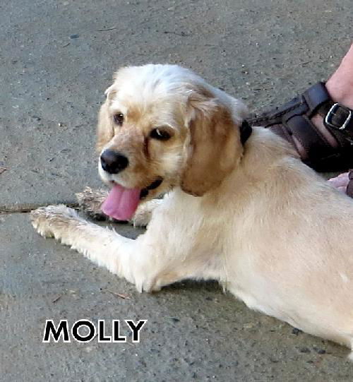 Molly (Ritzy)
