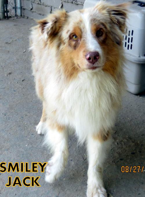 Smiley Jack (Ritzy)