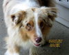 Smiley Jack (Ritzy)