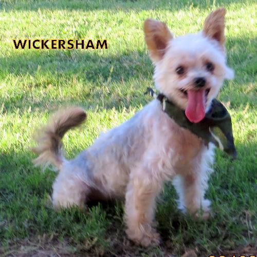 Wickersham (Ritzy)