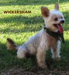 Wickersham (Ritzy)