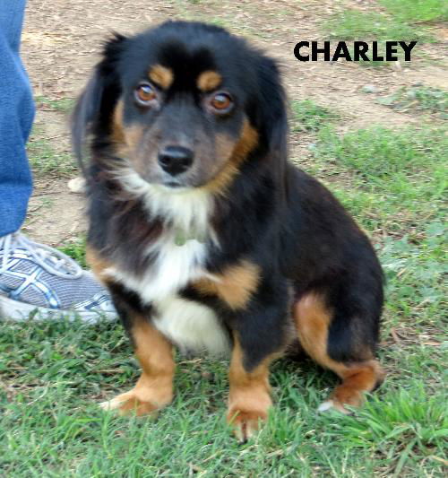 Charley