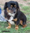 Charley