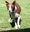 Mattie (Ritzy)