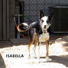 Isabella (Ritzy)