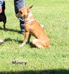Miney