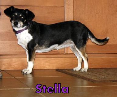 Stella 2