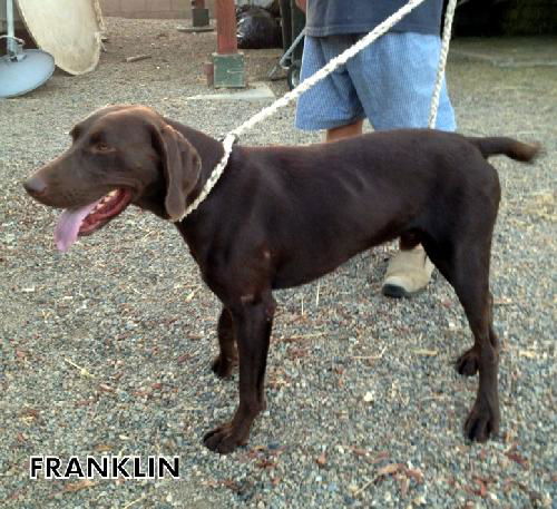 Franklin (Ritzy)