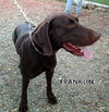 Franklin (Ritzy)