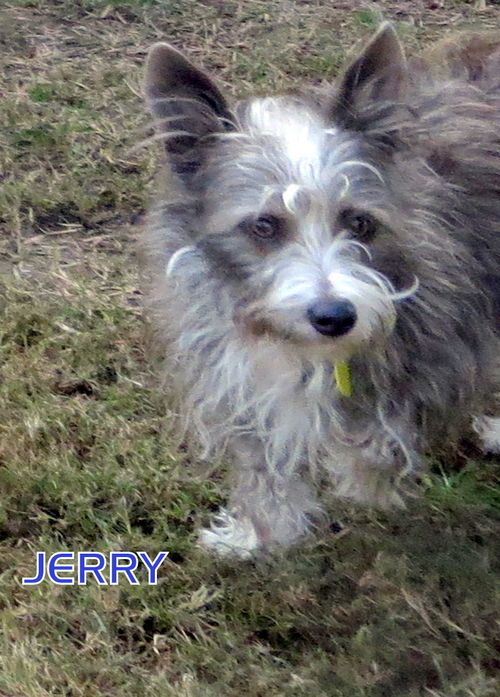 Jerry