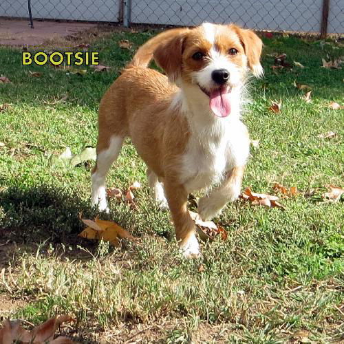 Bootsie