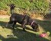 Molly