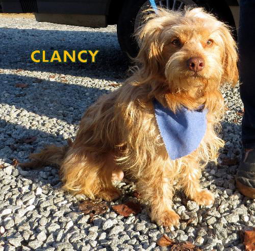 Clancy