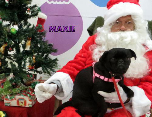 Maxie (Ritzy)