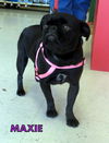 Maxie (Ritzy)