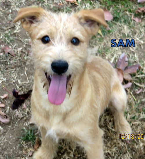 Sam