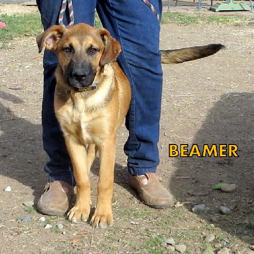 Beamer's Web Page