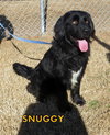 Snuggy