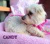 Candy (Ritzy)