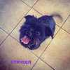 Stryker