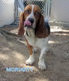Moriarty (Ritzy)
