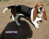 Skeeter (Ritzy)