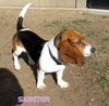 Skeeter (Ritzy)