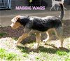 Maggie Wags