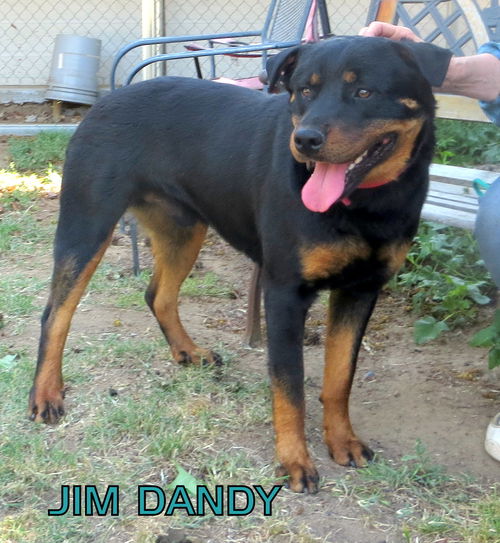 Jim Dandy (Ritzy)