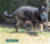 Grimm (Ritzy)