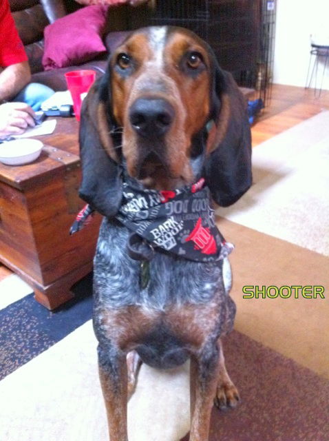 Shooter (Ritzy)