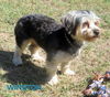 Winston (Ritzy)