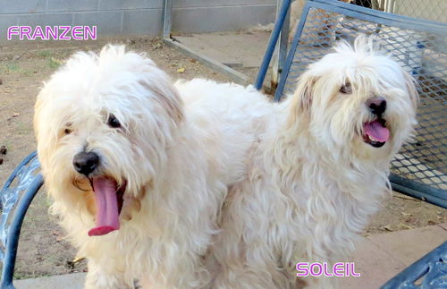 Franzen and Soleil (Ritzy)