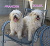 Franzen and Soleil (Ritzy)