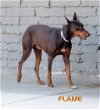 Flame (Ritzy)