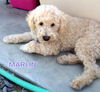 Marlin (Ritzy)