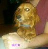 Heidi (Ritzy)