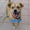 Benny