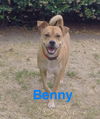Benny