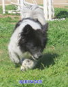 Beringer (Ritzy)