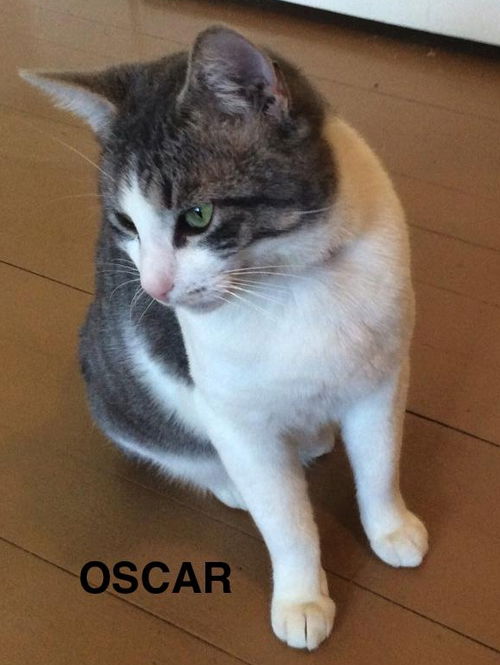 Oscar