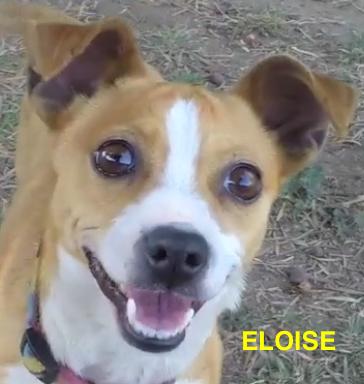 Eloise